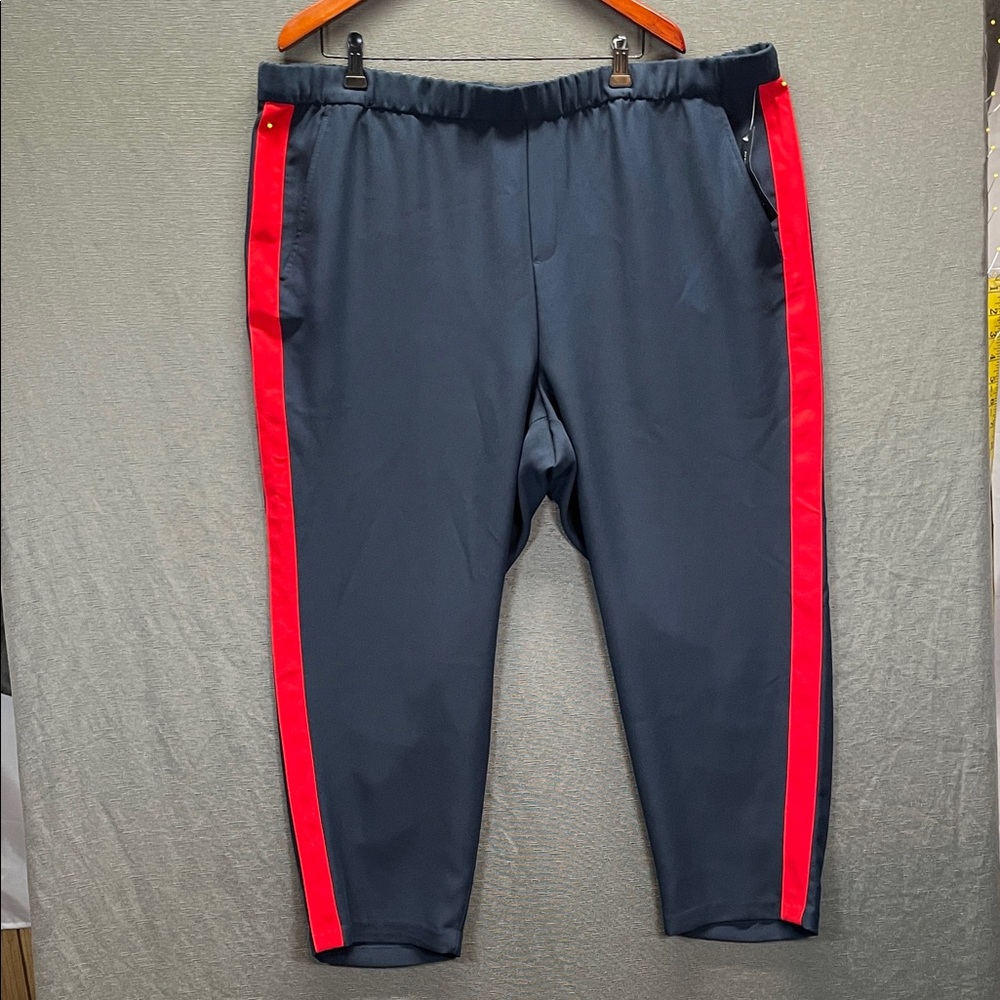 Banana Republic Blue and Red Plus Size Jumpsuit with Bold Design